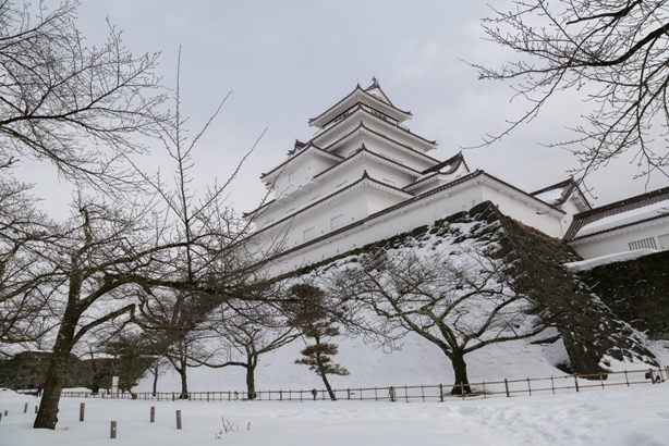 Hoa nở trong tuyết ở Fukushima