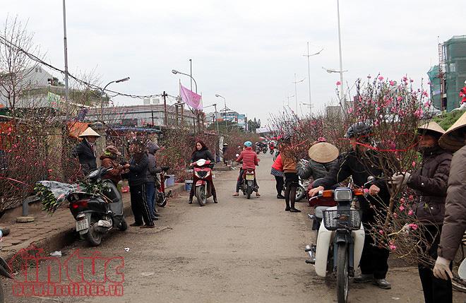 Người dân trồng đào Nhật Tân bội thu do thời tiết ủng hộ