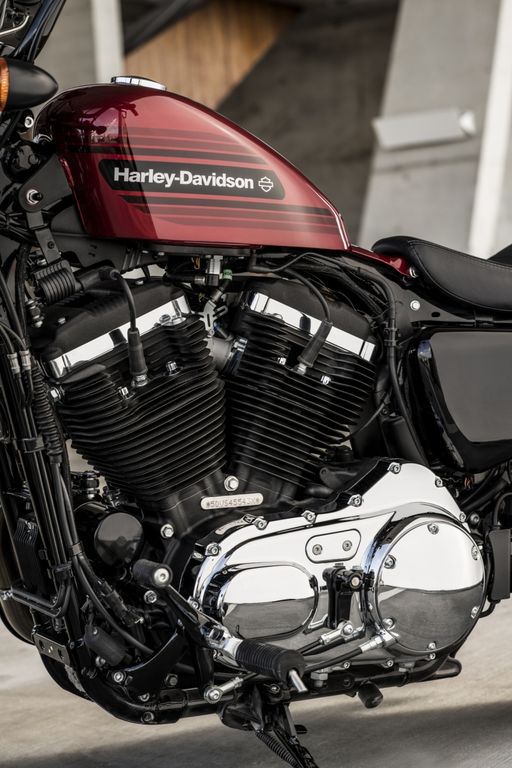 Harley-Davidson Forty-Eight Special và Iron 1200 2018 