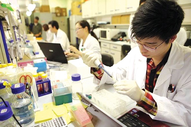 Chức năng, cơ cấu tổ chức Học viện Khoa học, Công nghệ và Đổi mới sáng tạo