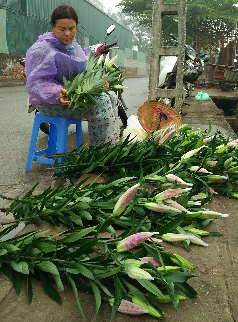 Sau Tết giá rau xanh, hoa tươi 