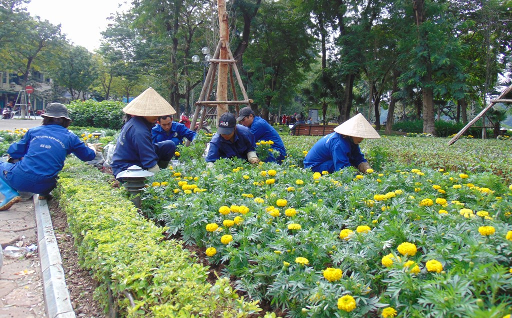 Những người tô thắm cho phố phường ngày Tết