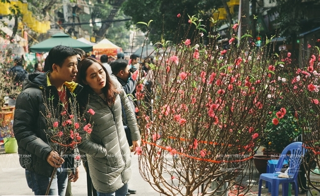 Những giai điệu đẹp, đi vào lòng người về mùa Xuân