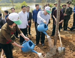 Vietcombank đồng hành cùng chương trình "Vì một Việt Nam xanh"