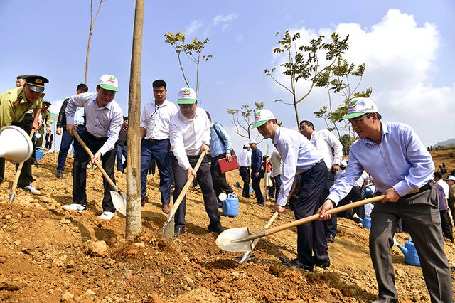 Phó Thủ tướng Trịnh Đình Dũng và cán bộ, nhân dân tỉnh Yên Bái tham gia Tết trồng cây.