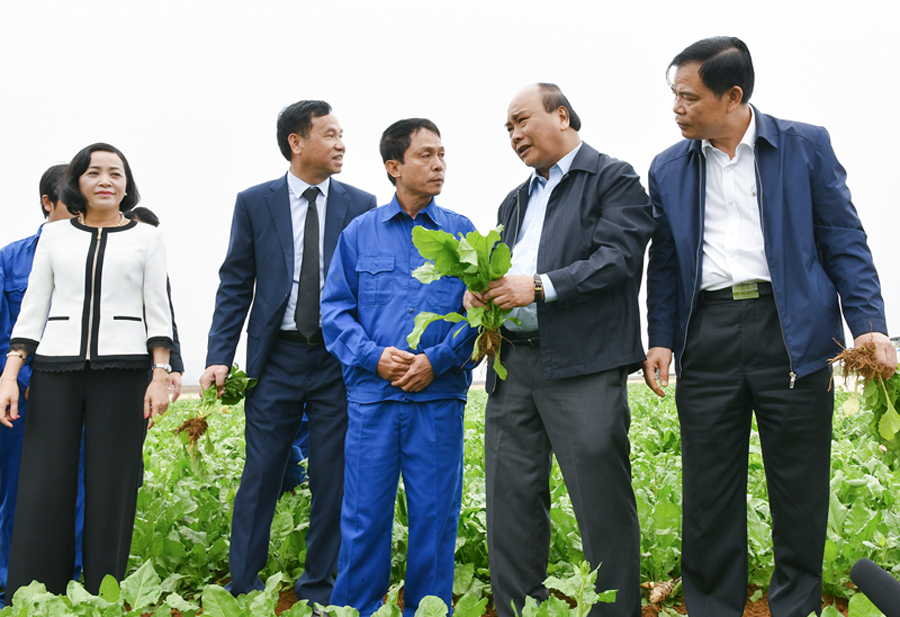 Thủ tướng thăm Công ty thực phẩm xuất khẩu Đồng Giao