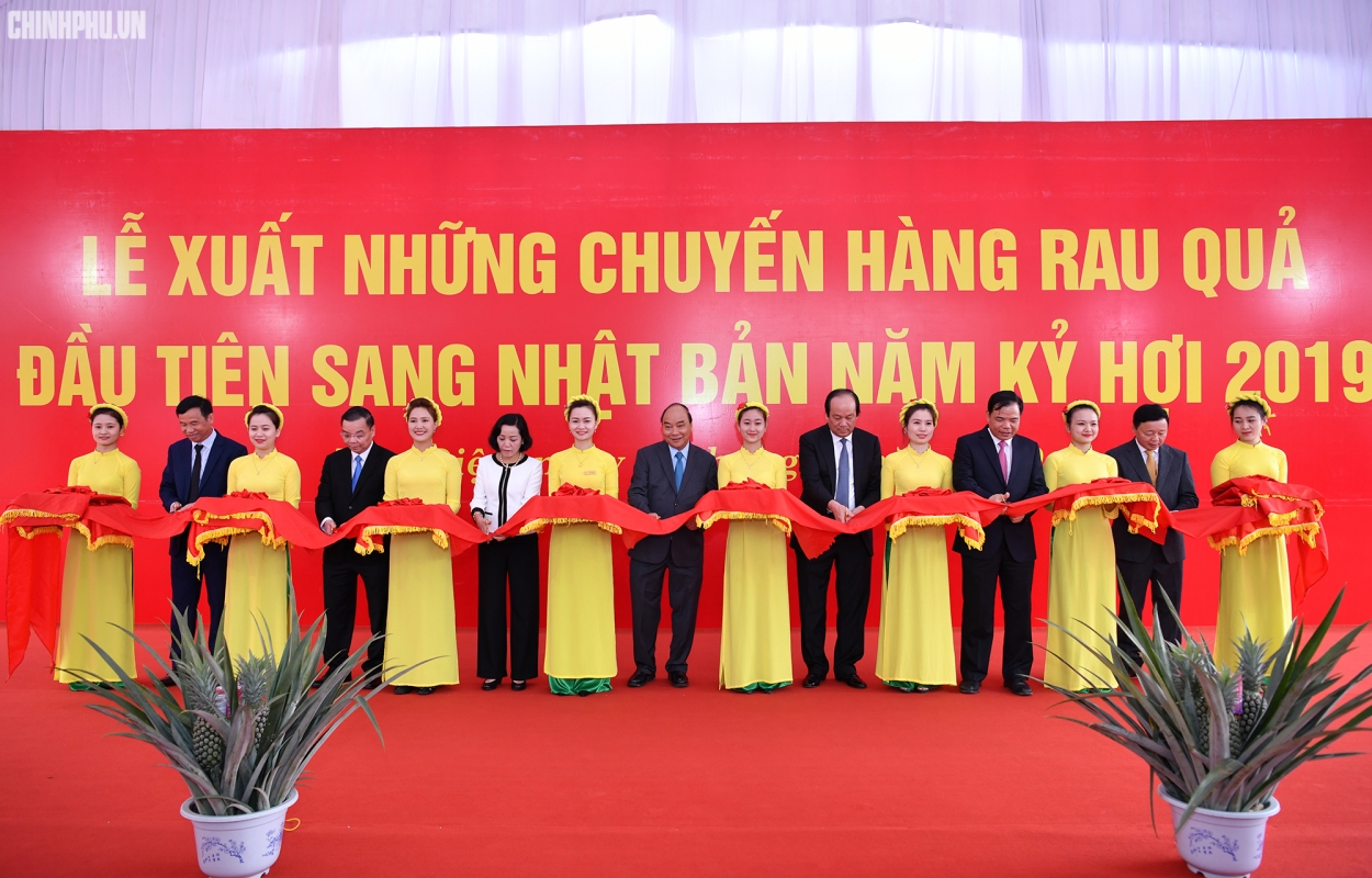 Thủ tướng dự lễ cắt băng chuyến hàng rau củ quả đầu tiên sang Nhật Bản cuả công ty Doveco