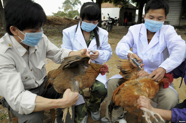 Hai trường hợp nghi nhiễm cúm gia cầm H5N1 xét nghiệm chỉ mắc cúm thường