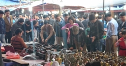 Chùm ảnh: Chợ Viềng (Nam Định) chật kín người từ sớm
