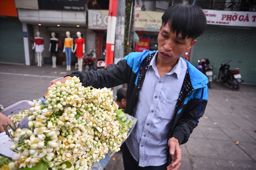 Mùa hoa bưởi sẽ kéo dài khoảng 20 ngày. Hầu hết được đem tới từ các vùng chuyên canh: Từ Liêm, Chương Mỹ hoặc các tỉnh xa: Hoà Bình, Sơn La.,.. Hoa bưởi được cắt vào buổi đêm hoặc sáng sớm. Vì vậy thường phải tầm trưa chiều, người ta mới thấy hoa bưởi được bày bán trên phố.