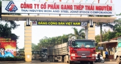 Lùm xùm sai phạm,