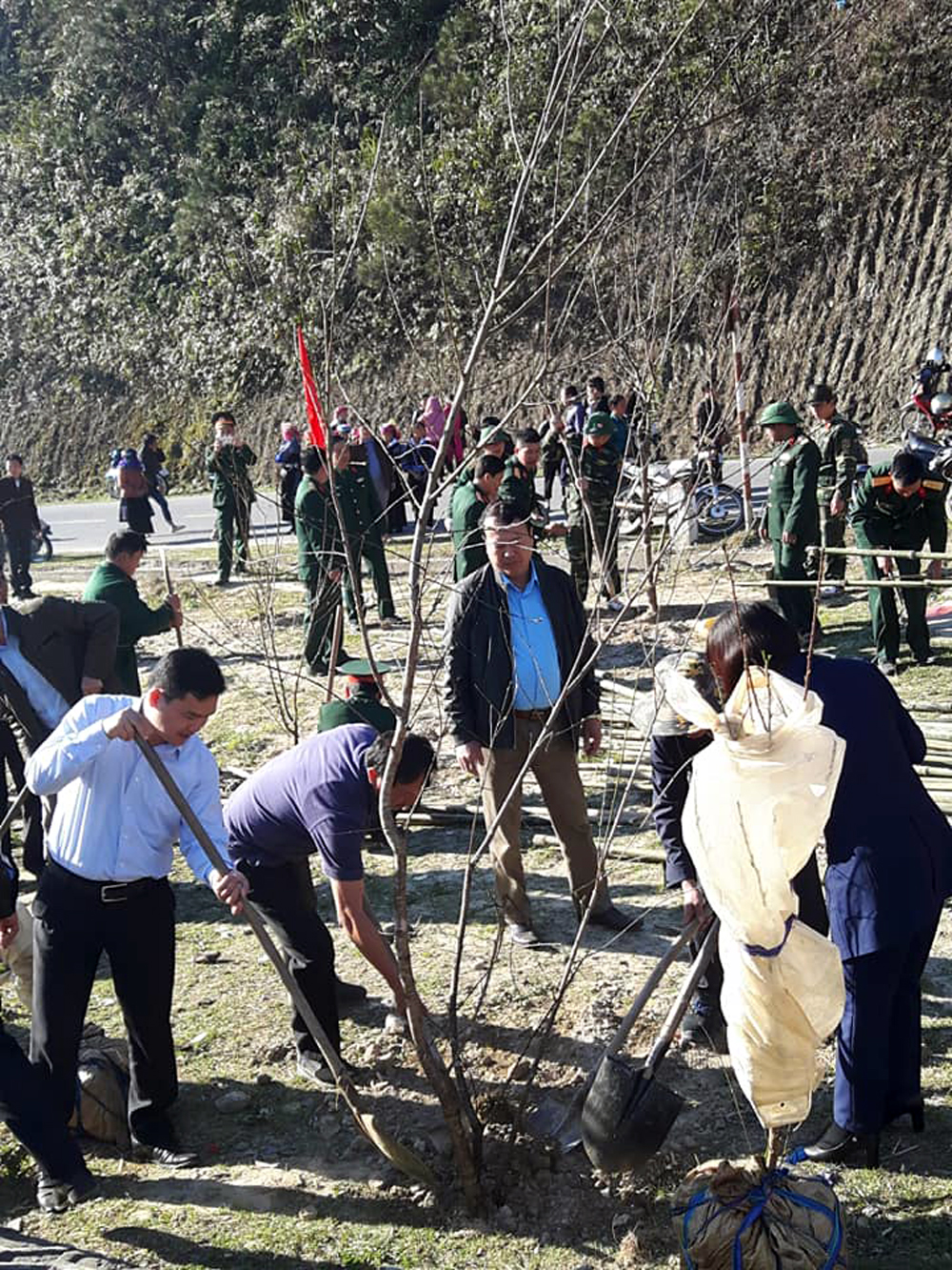 Các đại biểu chung tay trồng cây