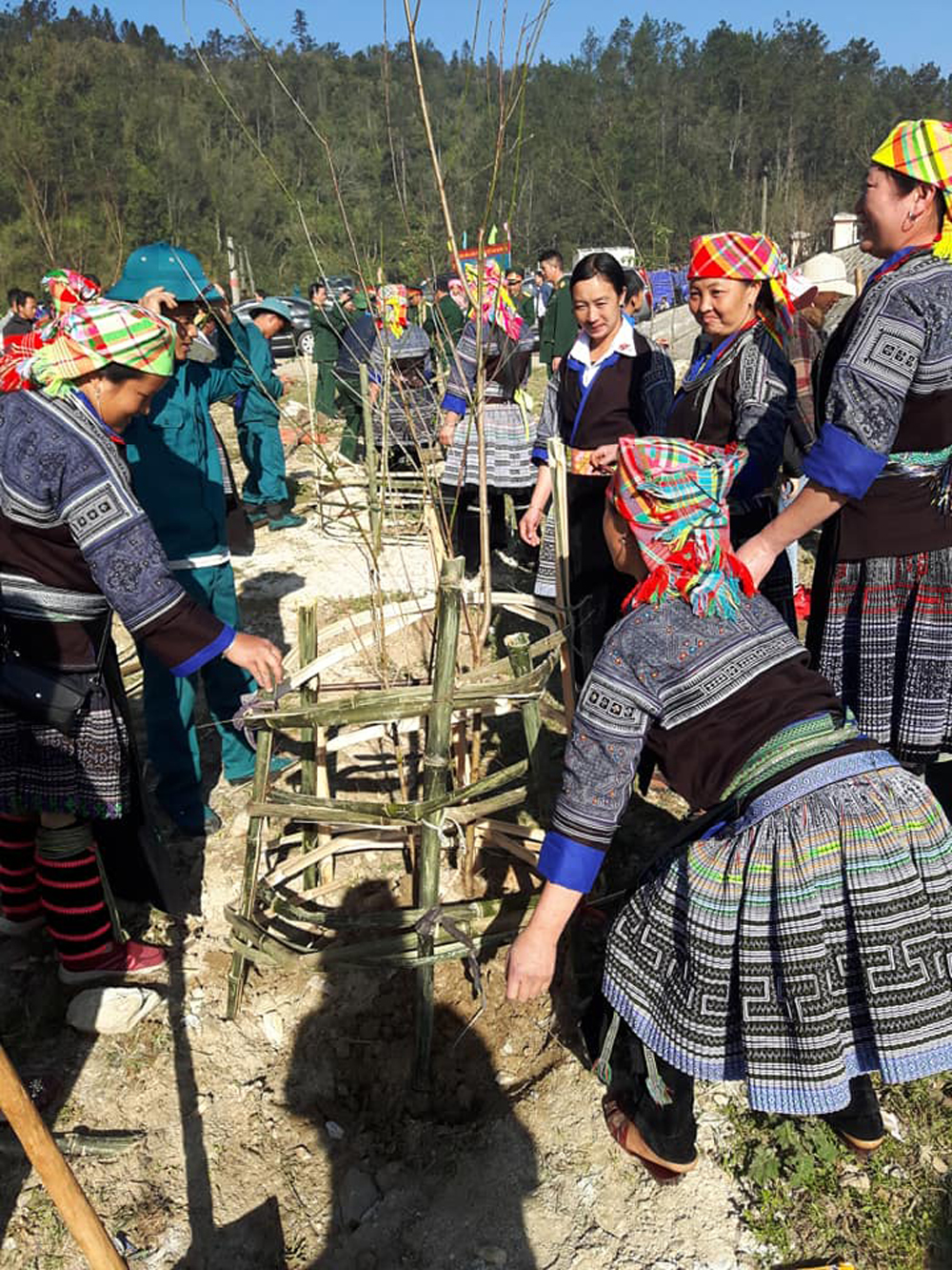 Chị em trong xã rào cây sau khi trồng