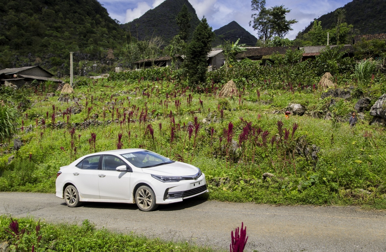 Corolla Altis