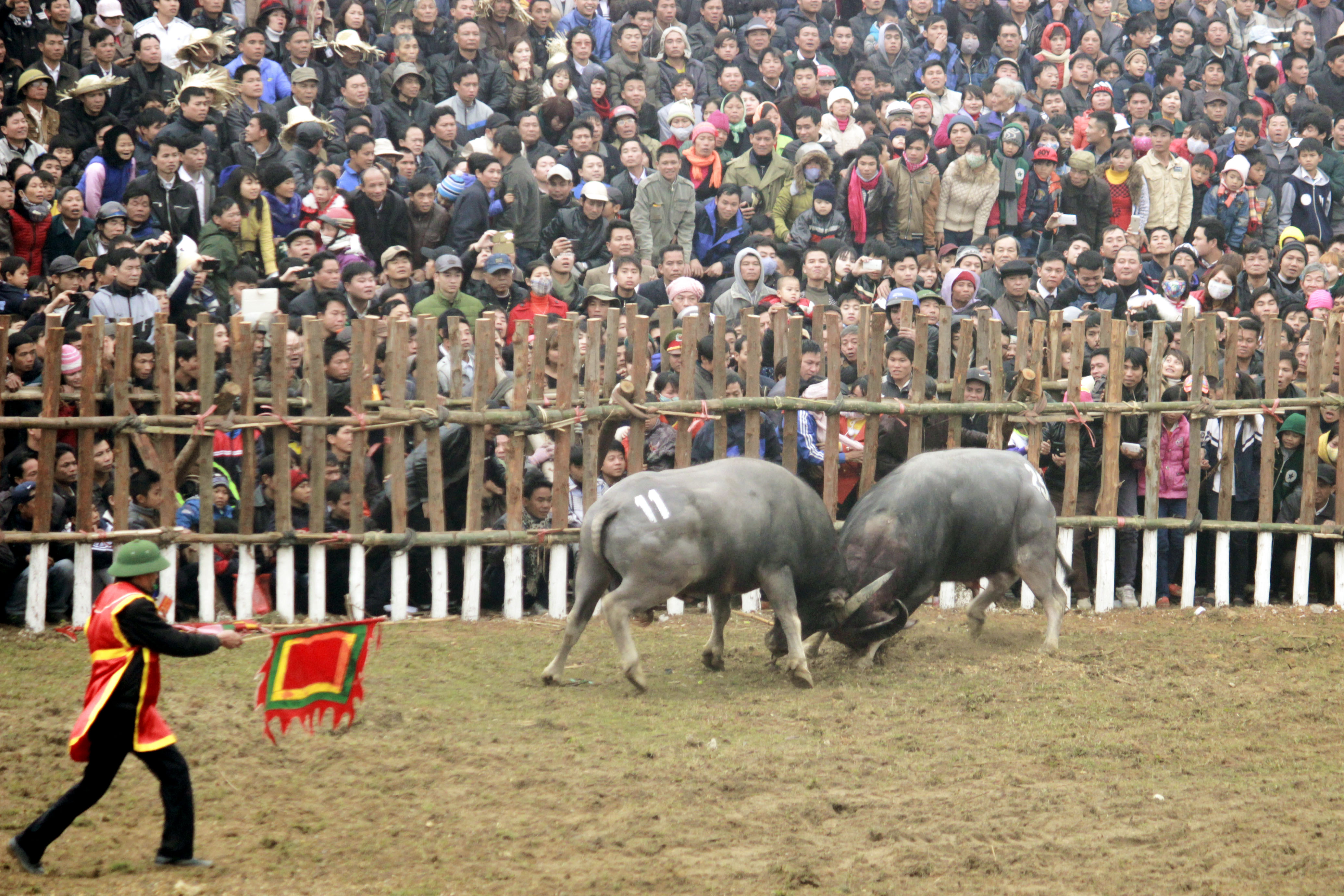 Lễ hội chọi Trâu Hải Lựu (Vĩnh Phúc ) năm 2019: Nhiều đổi mới trong quản lý và tổ chức