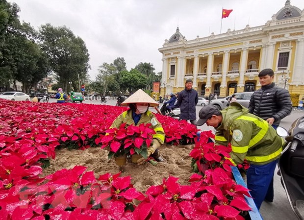 Khu vực Nhà hát Lớn, Hà Nội được trang hoàng cây hoa rực rỡ. (Ảnh: Thành Đạt/TTXVN)