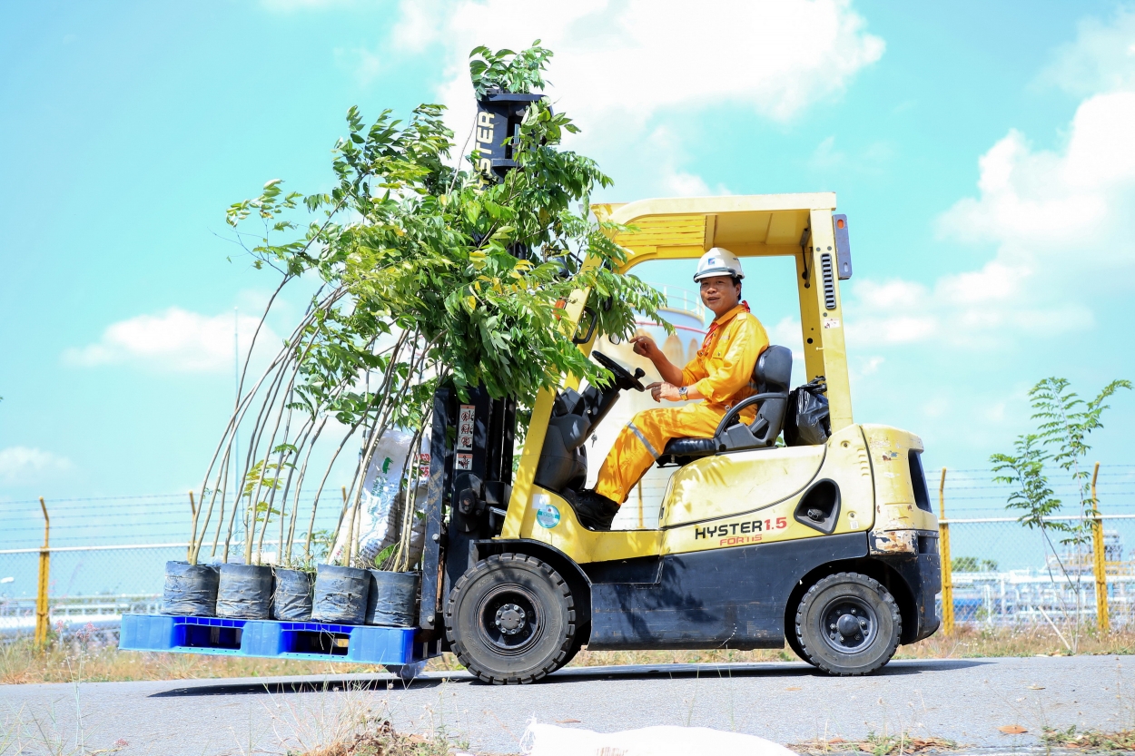 82 cây sưa được tập trung để tạo màu xanh cho GPP Dinh Cố.