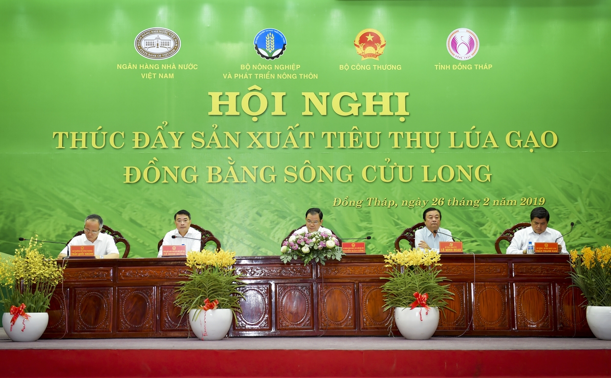 Hội nghị