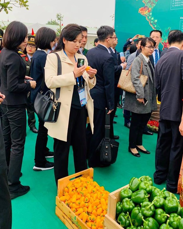 Nữ ca sĩ xinh đẹp trong đoàn Triều Tiên thăm công ty VinEco