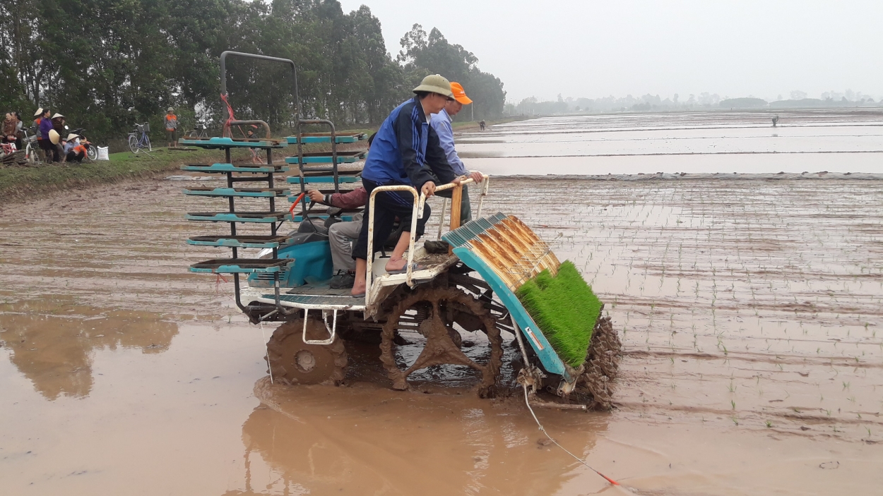 Hà Nội tập trung cao độ lấy nước phục vụ sản xuất nông nghiệp