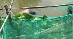 Bạc Liêu: Phát hiện thi thể người đàn ông Trung Quốc trôi dưới sông