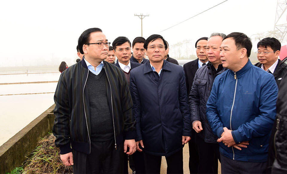 Bí thư Thành ủy Hà Nội Hoàng Trung Hải kiểm tra thực tế công tác chuẩn bị sản xuất nông nghiệp đầu năm tại huyện Quốc Oai