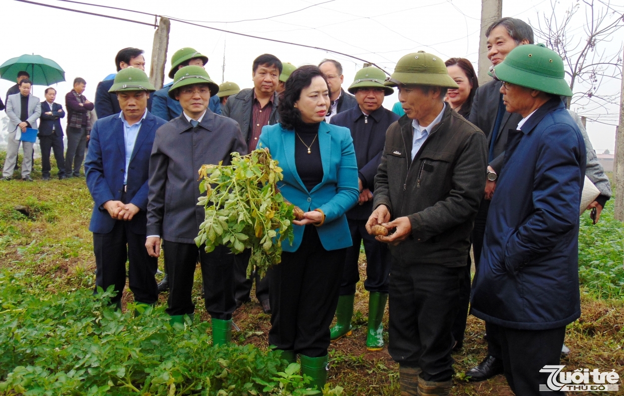 Kiểm tra công tác sản xuất nông nghiệp và phòng chống dịch bệnh tại Thạch Thất