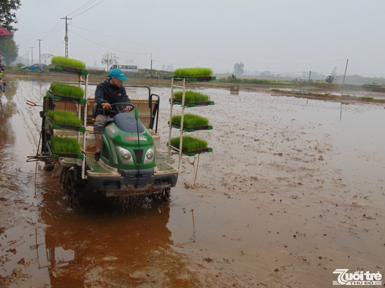 Mô hình mạ khay máy cấy tại xã Hương Ngải (Thạch Thất)