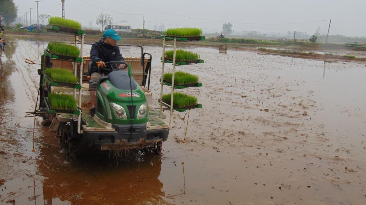 Sau hai đợt xả nước, Hà Nội vẫn chưa lấy đủ nước gieo cấy