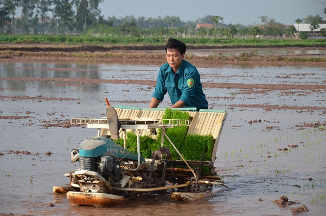 Hà Nội còn hơn 10% diện tích gieo cấy chưa có nước