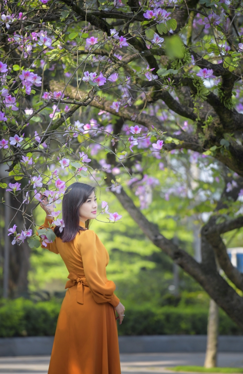 Diễn viên trẻ Đàm Hằng dịu dàng khoe sắc cùng hoa ban giữa lòng Hà Nội