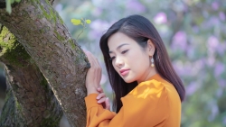 Diễn viên trẻ Đàm Hằng dịu dàng khoe sắc cùng hoa ban giữa lòng Hà Nội