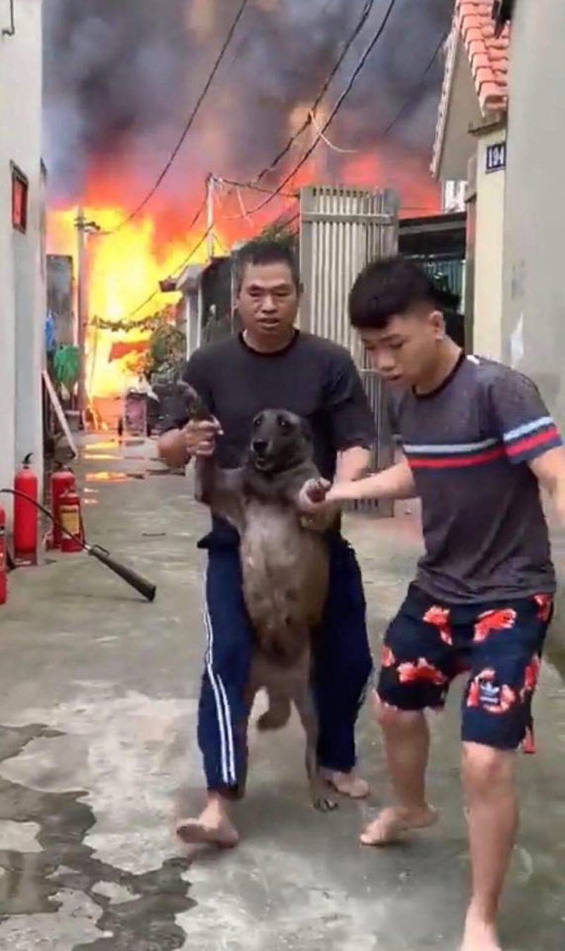 Một số người dân ôm thú cưng tháo chạy khỏi hiện trường vụ cháy ở phường Thạch Bàn