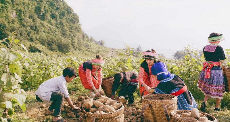 Muốn sản phẩm sạch thì phải có nguồn nguyên liệu chuẩn