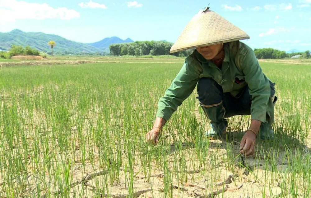 Nguy cơ thiếu hụt nguồn nước và xâm nhập mặn ở khu vực Trung Bộ