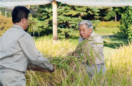 Những điều chưa biết về Nhà vua và Hoàng hậu Nhật Bản