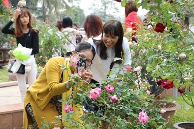 Rực rỡ lễ hội hoa hồng Bulgaria tại Hà Nội