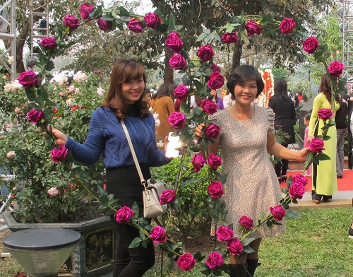Ngẩn ngơ với “Trái tim hoa hồng” từ 6.000 bông hồng tỉ muội của họa sĩ Nguyễn Thu Thủy