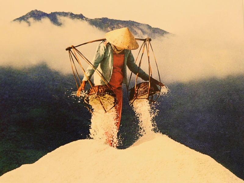 Nhiếp ảnh nghệ thuật Việt Nam 30 năm đồng hành cùng đất nước đổi mới