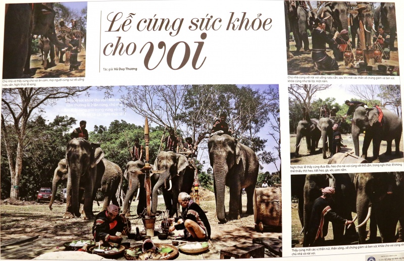 Nhiếp ảnh nghệ thuật Việt Nam 30 năm đồng hành cùng đất nước đổi mới