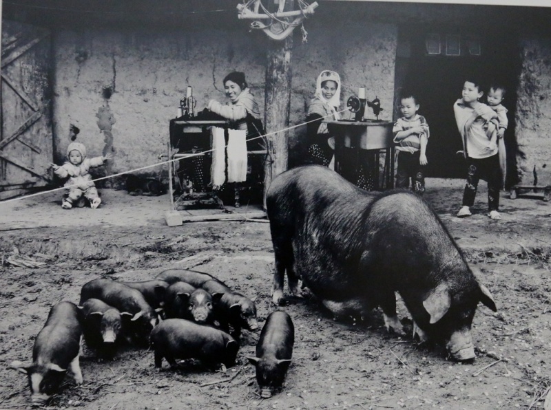 Nhiếp ảnh nghệ thuật Việt Nam 30 năm đồng hành cùng đất nước đổi mới