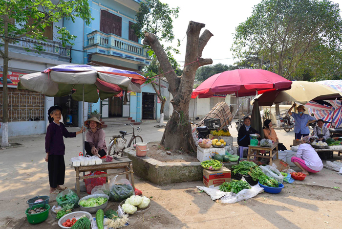 Xem xét trách nhiệm cán bộ xã chặt cây dọn vỉa hè ở xã Cẩm Yên