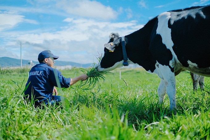 Trang trại bò sữa organic đầu tiên tại Việt Nam: Bước tiến mới của ngành sữa Việt