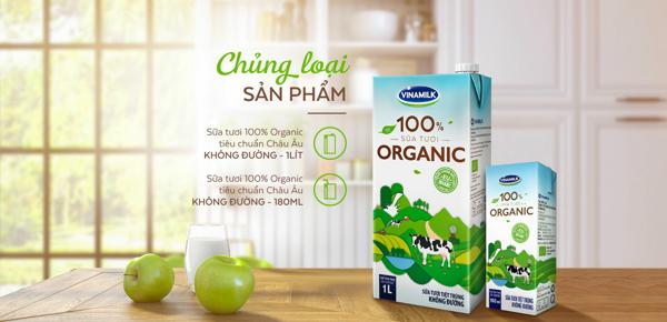 Trang trại bò sữa organic đầu tiên tại Việt Nam: Bước tiến mới của ngành sữa Việt