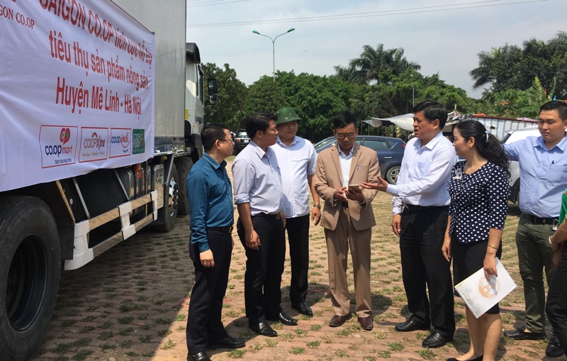 Muốn chấm dứt tình trạng “giải cứu” nông sản phải nâng cao hiệu quả HTX