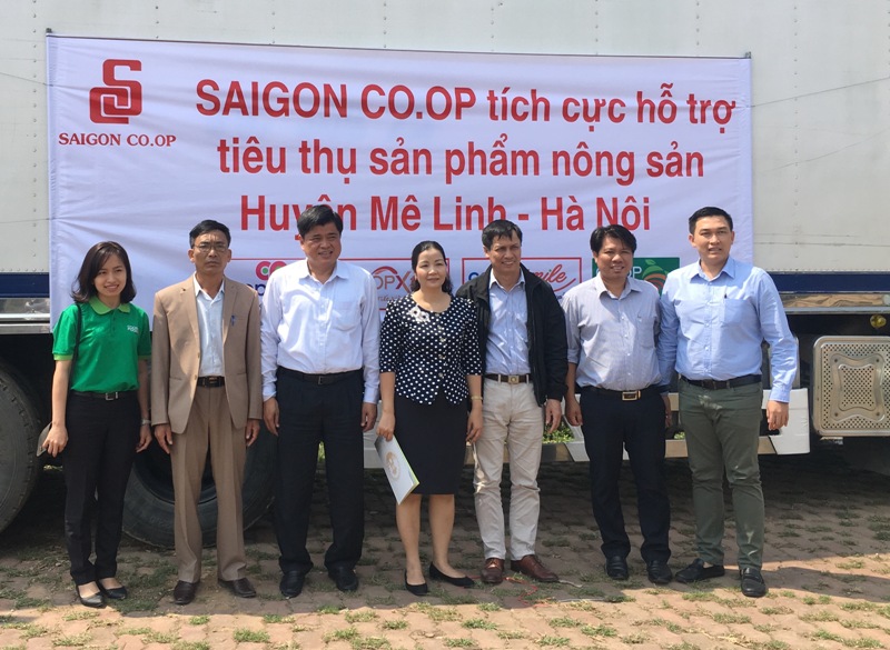 Muốn chấm dứt tình trạng “giải cứu” nông sản phải nâng cao hiệu quả HTX