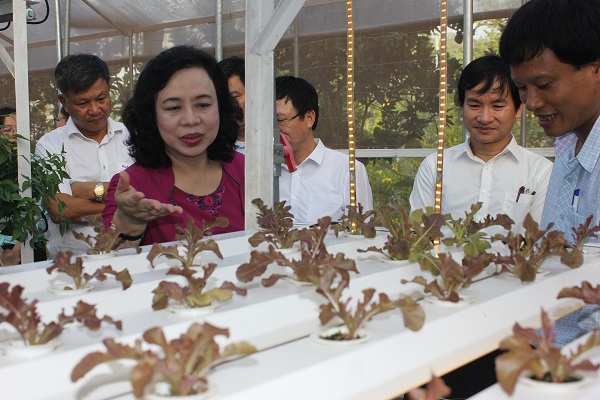 Hà Nội quyết tâm tạo đột phá về nông nghiệp công nghệ cao