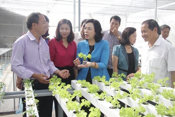 Hà Nội quyết tâm tạo đột phá về nông nghiệp công nghệ cao