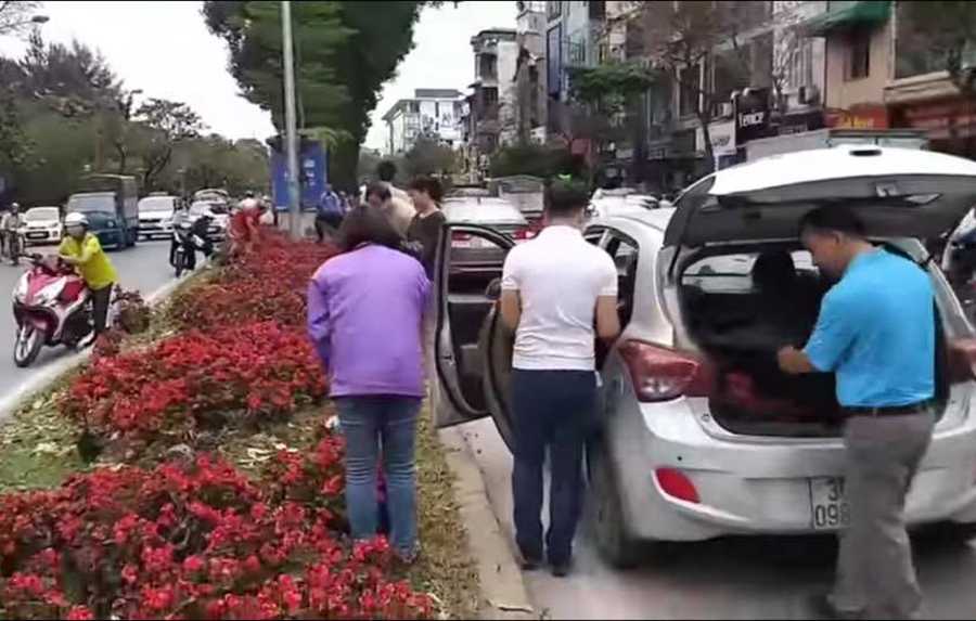 Những hình ảnh một số người dân thi nhau khuân các cây hoa để lên ô tô được chia sẻ trên mạng xã hội (ảnh cắt từ clip)