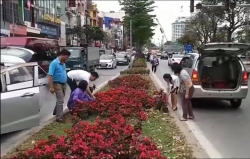 Cần phê phán những người lấy hoa trang trí trên đường phố